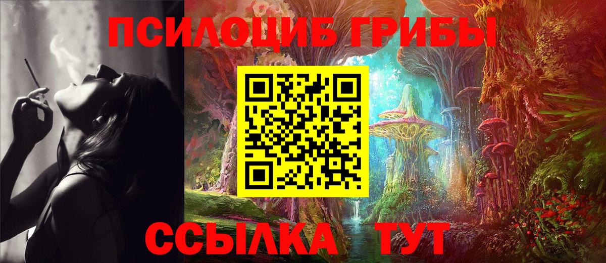 Псилоцибиновые грибы ЛСД  купить наркотики сайты  Архангельск  Вход с VPN 